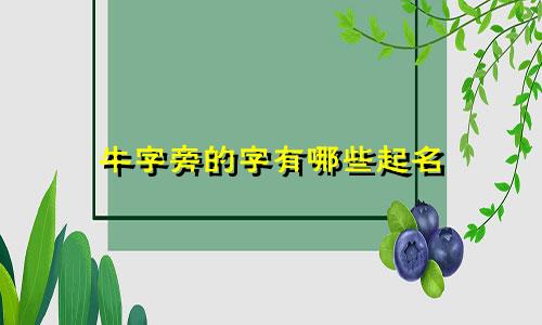 牛字旁的字有哪些起名