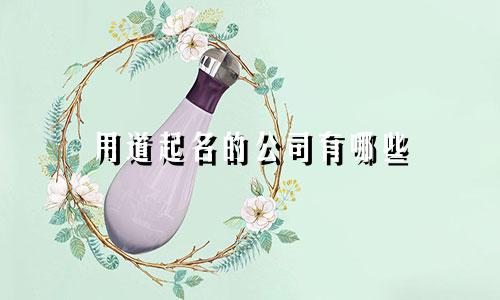 用道起名的公司有哪些