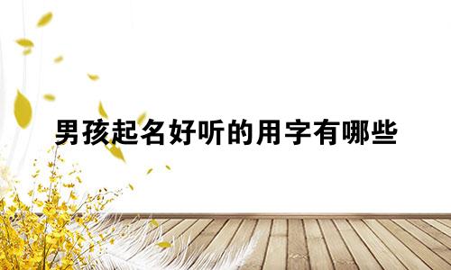 男孩起名好听的用字有哪些