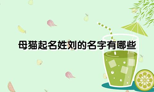 母猫起名姓刘的名字有哪些