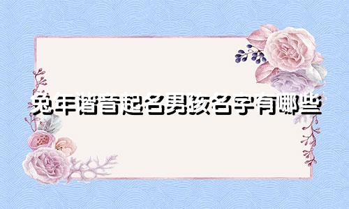 兔年谐音起名男孩名字有哪些