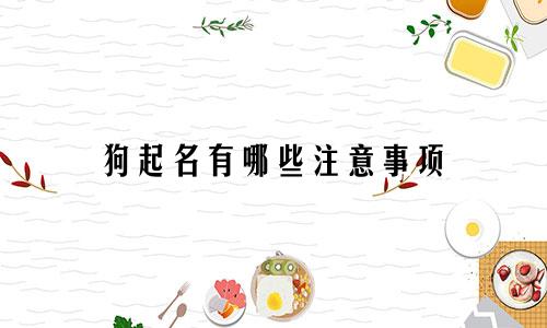 狗起名有哪些注意事项