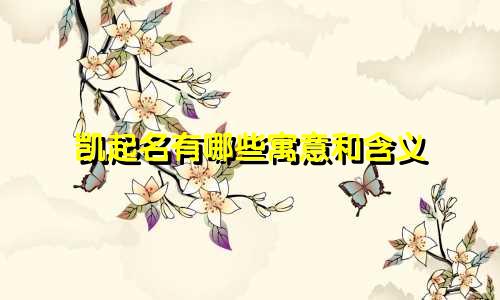 凯起名有哪些寓意和含义