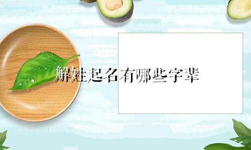 解姓起名有哪些字辈