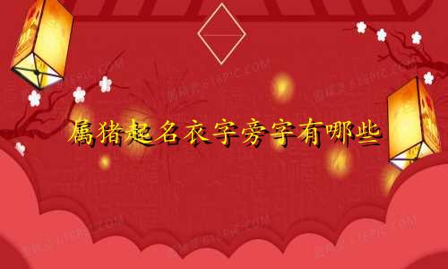 属猪起名衣字旁字有哪些