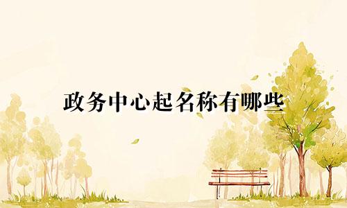 政务中心起名称有哪些