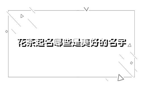 花茶起名哪些是美好的名字