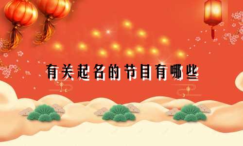 有关起名的节目有哪些