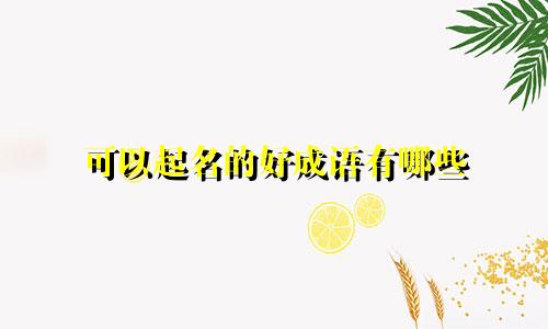 可以起名的好成语有哪些