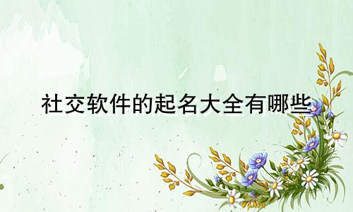 社交软件的起名大全有哪些