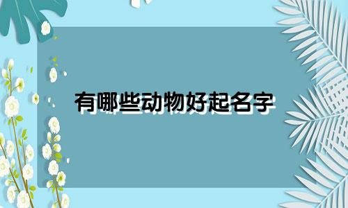 有哪些动物好起名字