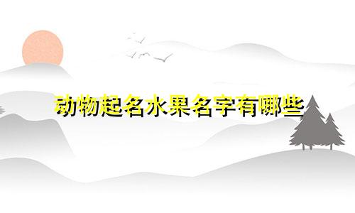 动物起名水果名字有哪些