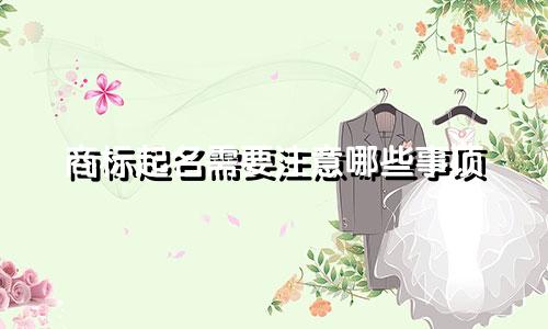 商标起名需要注意哪些事项