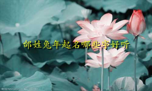 邰姓兔年起名哪些字好听