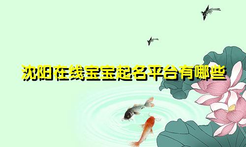 沈阳在线宝宝起名平台有哪些