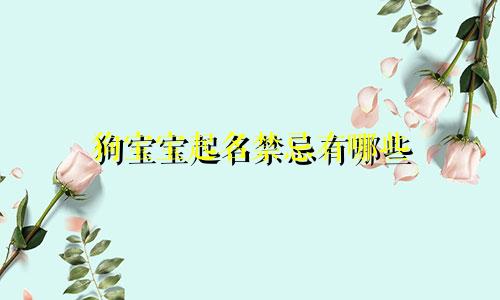 狗宝宝起名禁忌有哪些