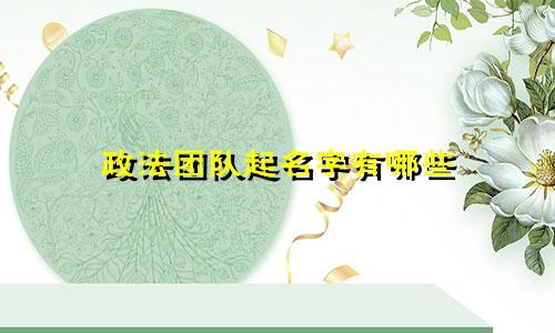 政法团队起名字有哪些