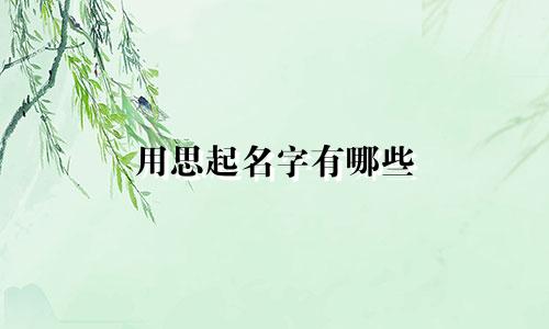 用思起名字有哪些