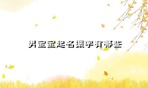男宝宝起名振字有哪些