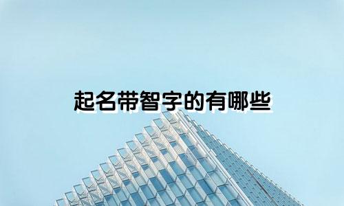 起名带智字的有哪些