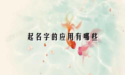 起名字的应用有哪些