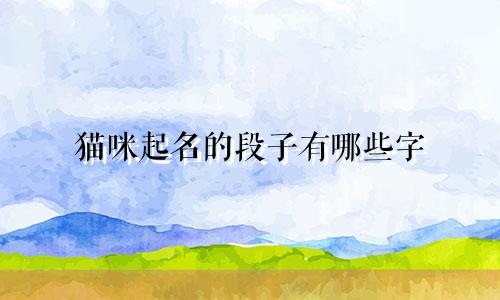 猫咪起名的段子有哪些字