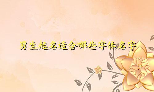 男生起名适合哪些字体名字