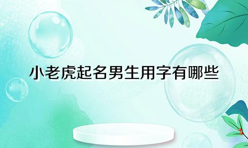 小老虎起名男生用字有哪些