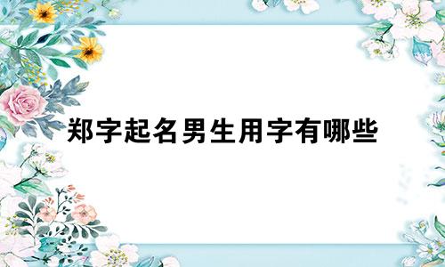 郑字起名男生用字有哪些