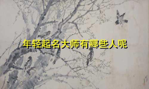 年轻起名大师有哪些人呢