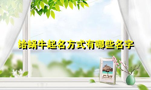给蜗牛起名方式有哪些名字
