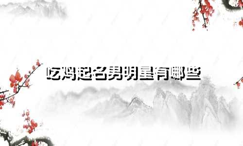 吃鸡起名男明星有哪些