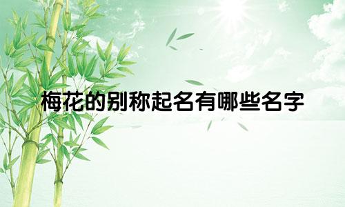 梅花的别称起名有哪些名字