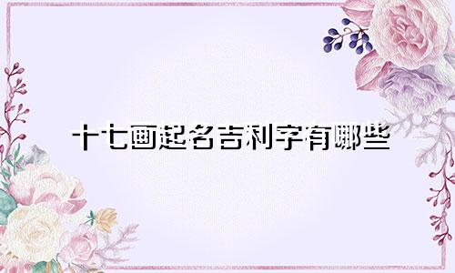 十七画起名吉利字有哪些