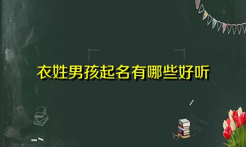 衣姓男孩起名有哪些好听