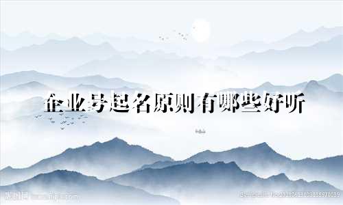 企业号起名原则有哪些好听