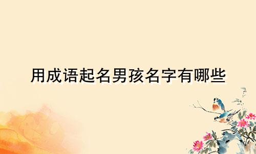 用成语起名男孩名字有哪些
