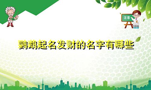 鹦鹉起名发财的名字有哪些