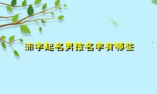 沛字起名男孩名字有哪些