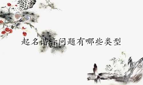 起名谐音问题有哪些类型