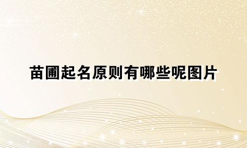 苗圃起名原则有哪些呢图片
