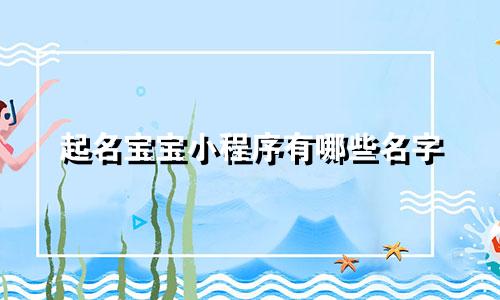 起名宝宝小程序有哪些名字