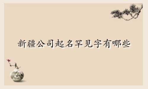 新疆公司起名罕见字有哪些