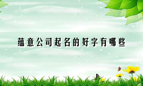 蕴意公司起名的好字有哪些