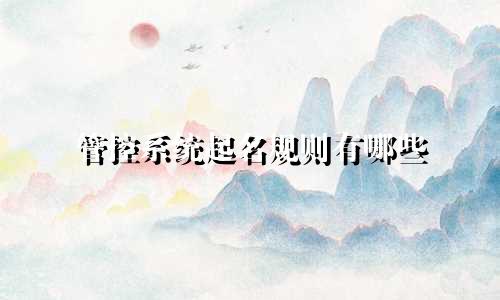 管控系统起名规则有哪些