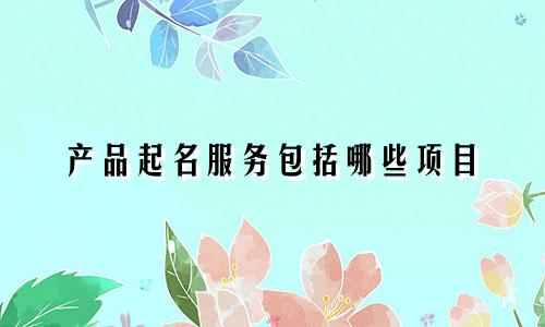 产品起名服务包括哪些项目