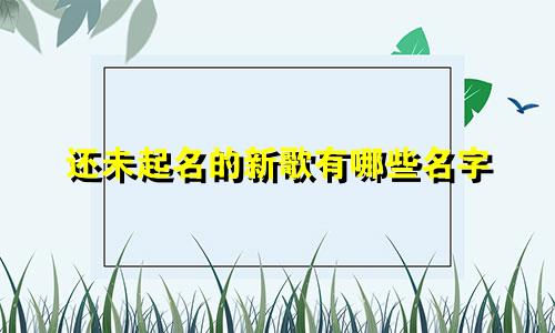 还未起名的新歌有哪些名字