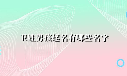 卫姓男孩起名有哪些名字
