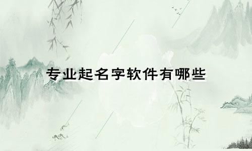 专业起名字软件有哪些