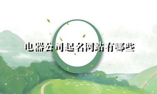 电器公司起名网站有哪些